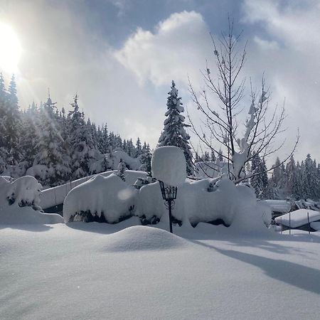 Appartementhaus Hochkoenig - Panoramablick Mühlbach am Hochkönig المظهر الخارجي الصورة