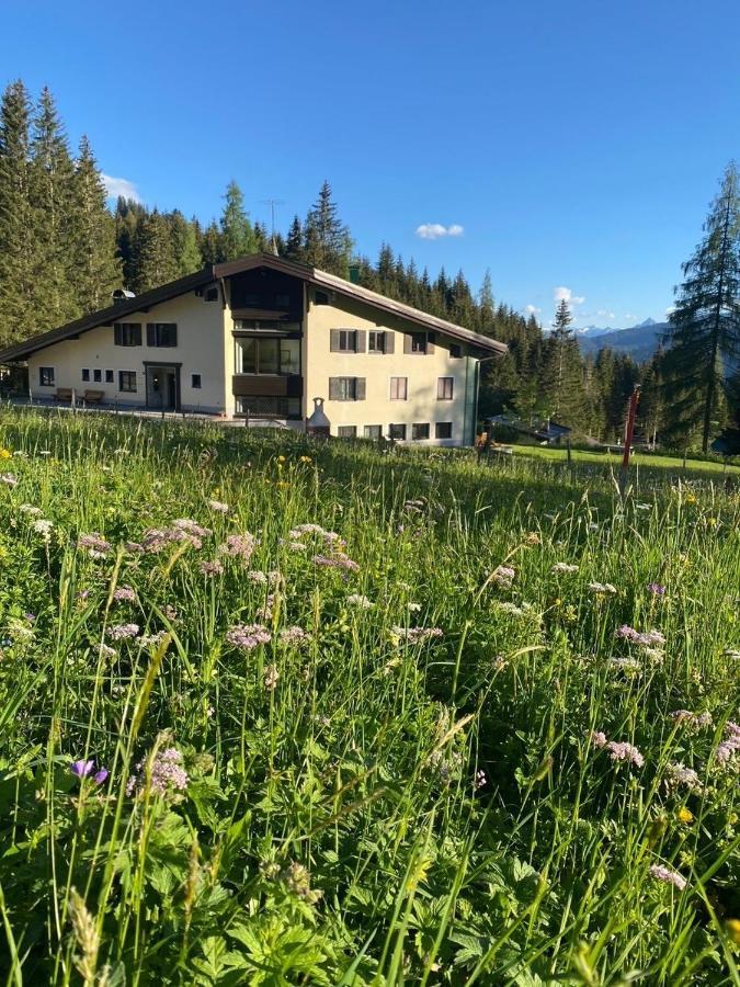 Appartementhaus Hochkoenig - Panoramablick Mühlbach am Hochkönig المظهر الخارجي الصورة