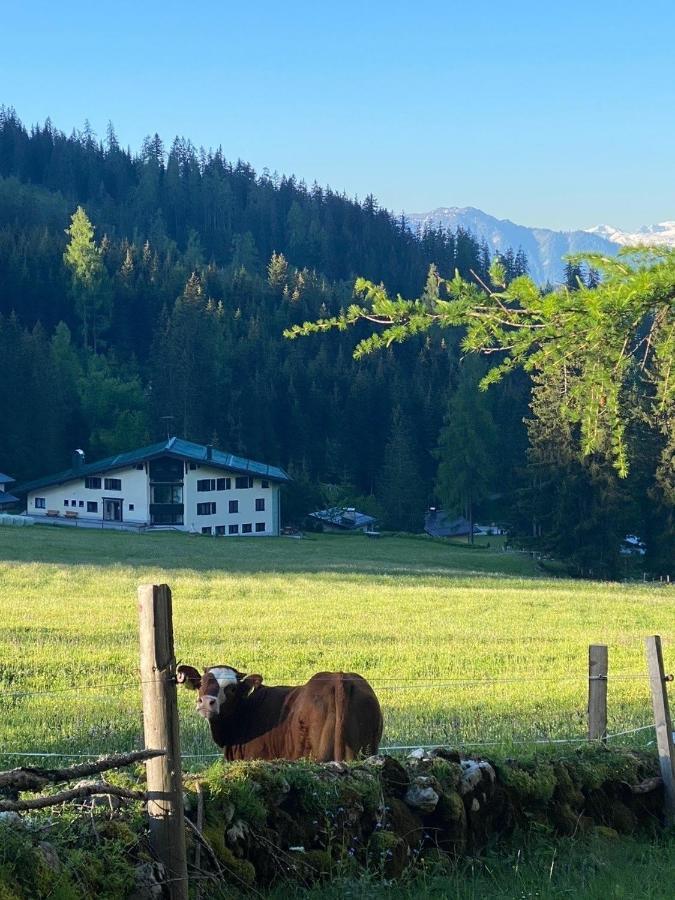 Appartementhaus Hochkoenig - Panoramablick Mühlbach am Hochkönig المظهر الخارجي الصورة
