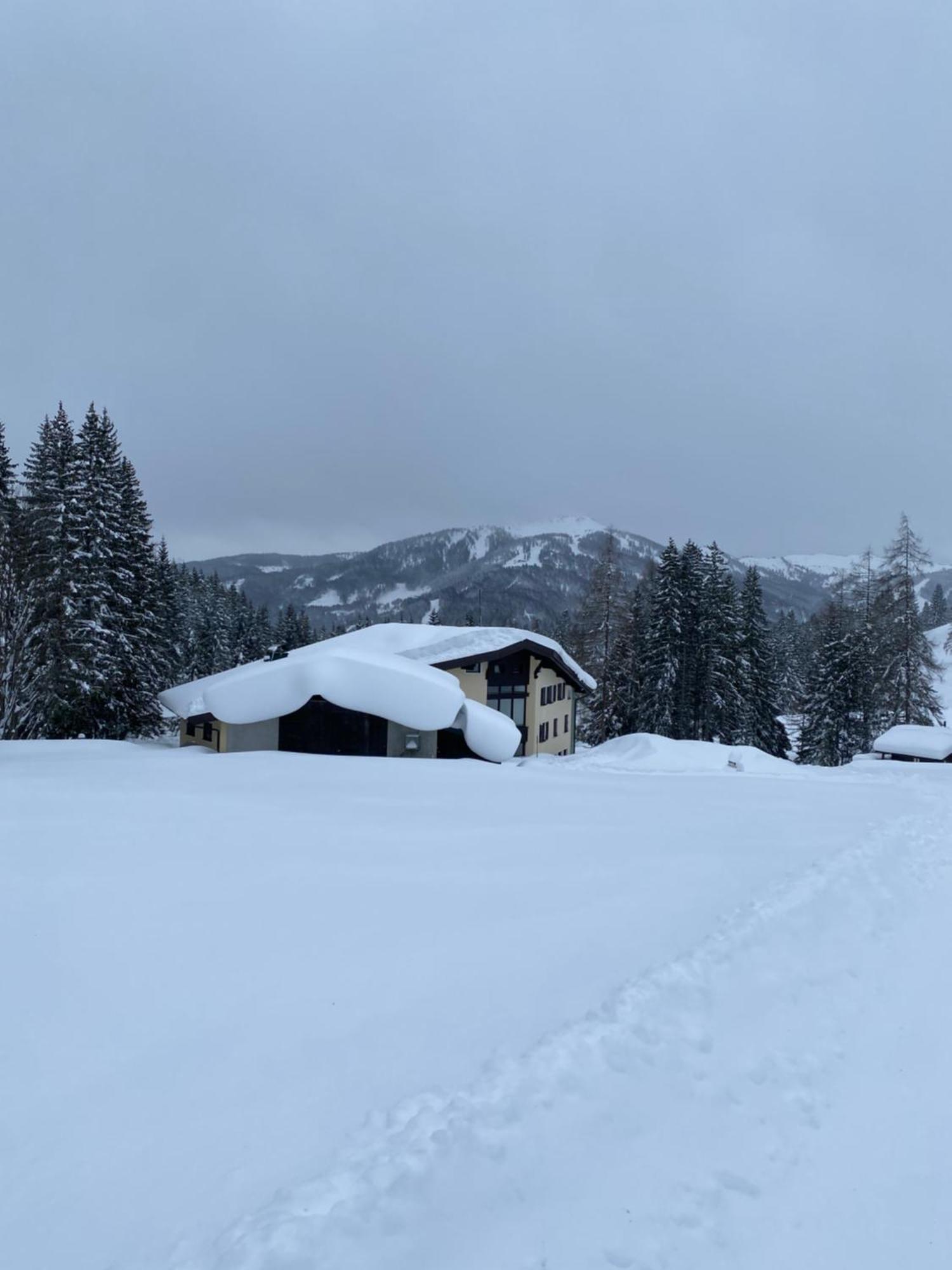 Appartementhaus Hochkoenig - Panoramablick Mühlbach am Hochkönig المظهر الخارجي الصورة